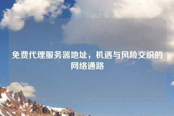 免费代理服务器地址，机遇与风险交织的网络通路