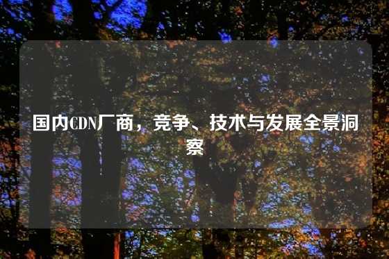 国内CDN厂商，竞争、技术与发展全景洞察