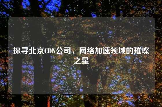 探寻北京CDN公司，网络加速领域的璀璨之星