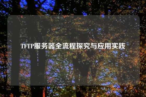 TFTP服务器全流程探究与应用实践