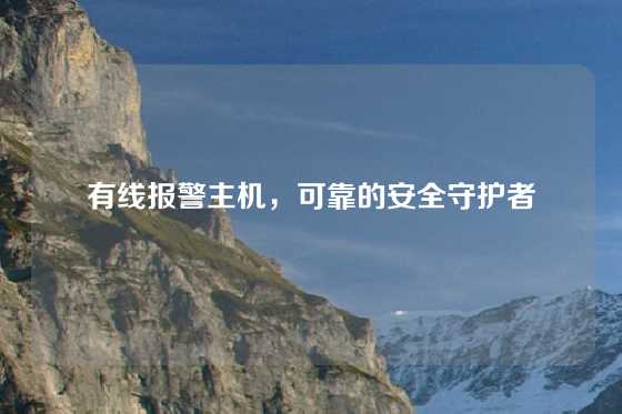 有线报警主机，可靠的安全守护者