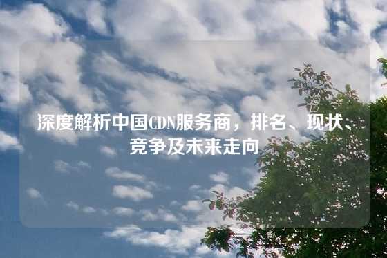 深度解析中国CDN服务商，排名、现状、竞争及未来走向