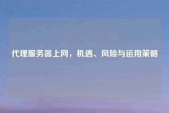 代理服务器上网，机遇、风险与运用策略