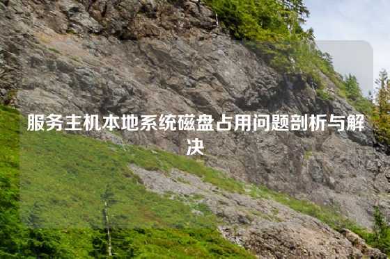 服务主机本地系统磁盘占用问题剖析与解决