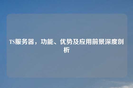TS服务器，功能、优势及应用前景深度剖析