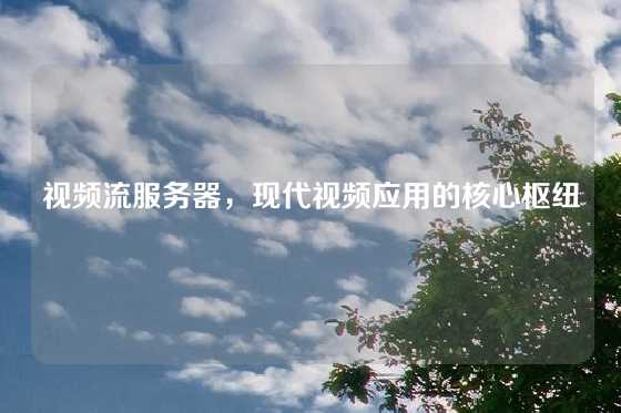 视频流服务器,现代视频应用的核心枢纽