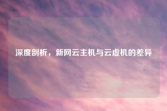 深度剖析,新网云主机与云虚机的差异