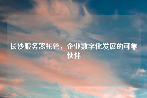 长沙服务器托管，企业数字化发展的可靠伙伴