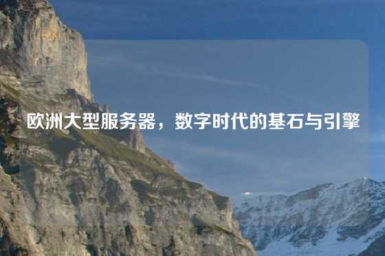 欧洲大型服务器，数字时代的基石与引擎