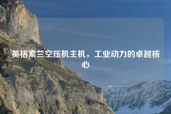 英格索兰空压机主机，工业动力的卓越核心