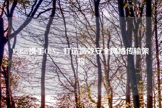V2Ray携手CDN，打造高效安全网络传输架构