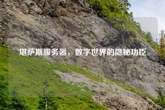 堪萨斯服务器，数字世界的隐秘功臣