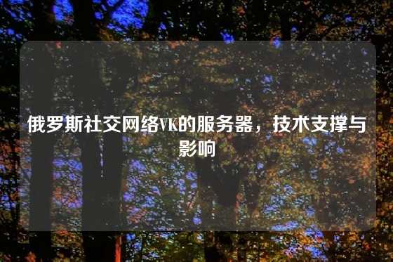 俄罗斯社交网络VK的服务器,技术支撑与影响