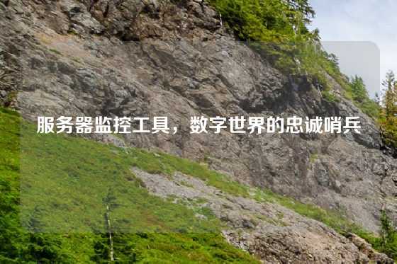 服务器监控工具，数字世界的忠诚哨兵