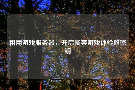 租用游戏服务器，开启畅爽游戏体验的密钥