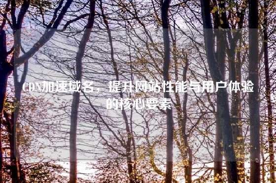 CDN加速域名，提升网站性能与用户体验的核心要素