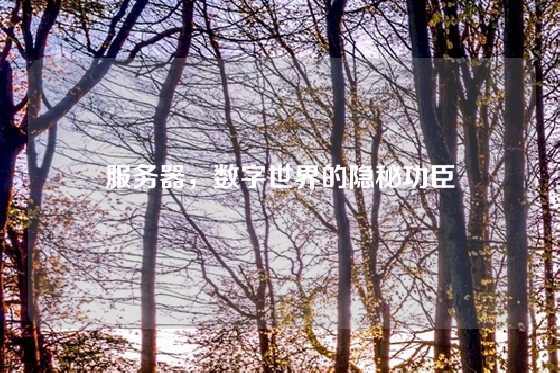 服务器，数字世界的隐秘功臣