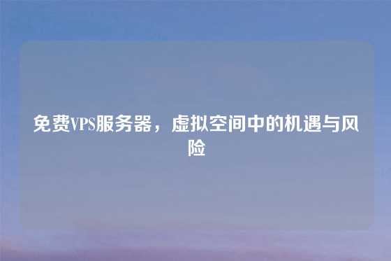 免费VPS服务器，虚拟空间中的机遇与风险
