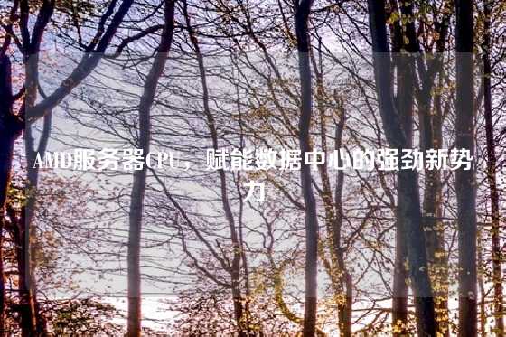 AMD服务器CPU，赋能数据中心的强劲新势力