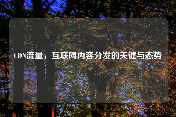CDN流量，互联网内容分发的关键与态势
