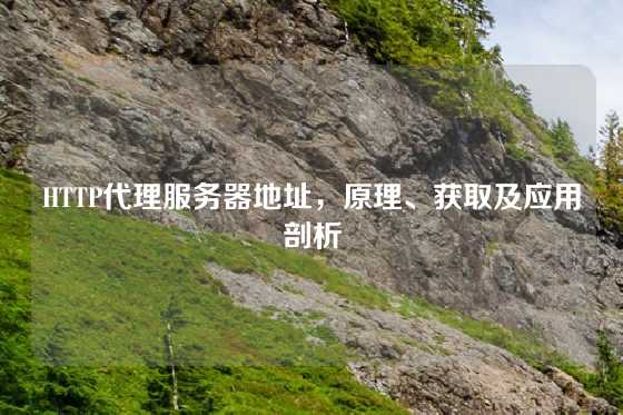 HTTP代理服务器地址，原理、获取及应用剖析