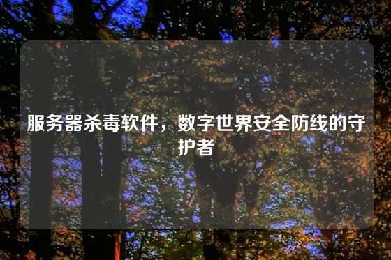 服务器杀毒软件,数字世界安全防线的守护者