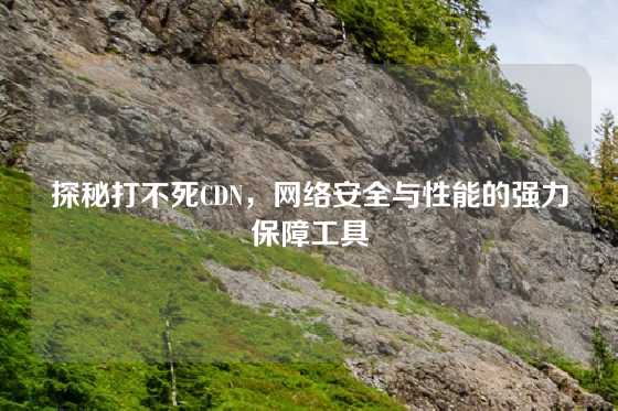 探秘打不死CDN，网络安全与性能的强力保障工具