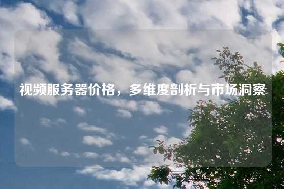 视频服务器价格，多维度剖析与市场洞察