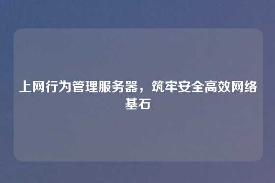 上网行为管理服务器，筑牢安全高效网络基石