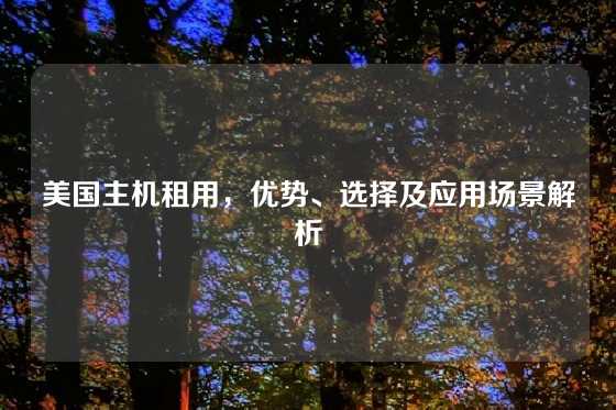 美国主机租用，优势、选择及应用场景解析