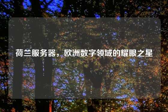 荷兰服务器，欧洲数字领域的耀眼之星