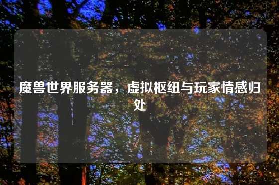 魔兽世界服务器，虚拟枢纽与玩家情感归处