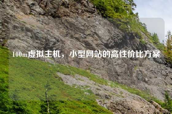 100m虚拟主机，小型网站的高性价比方案