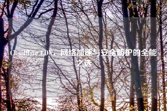 Cloudflare CDN，网络加速与安全防护的全能之选