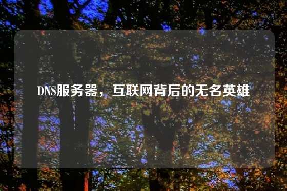 DNS服务器，互联网背后的无名英雄