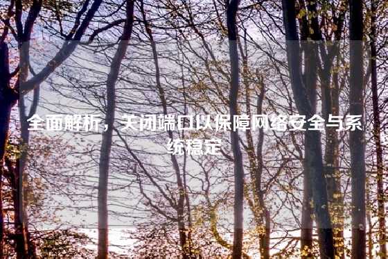 全面解析，关闭端口以保障网络安全与系统稳定