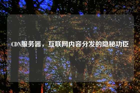 CDN服务器，互联网内容分发的隐秘功臣