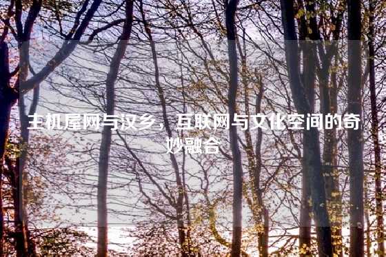 主机屋网与汉乡，互联网与文化空间的奇妙融合