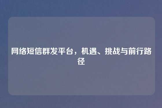网络短信群发平台，机遇、挑战与前行路径