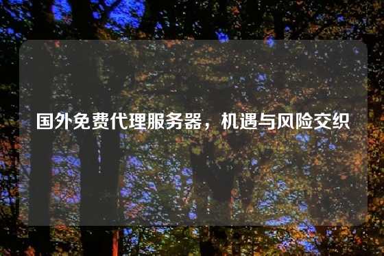 国外免费代理服务器，机遇与风险交织