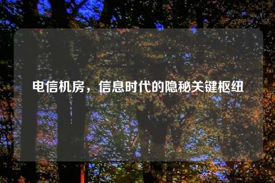 电信机房，信息时代的隐秘关键枢纽