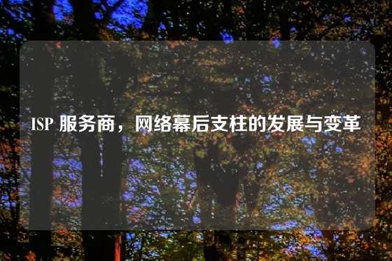 ISP 服务商,网络幕后支柱的发展与变革