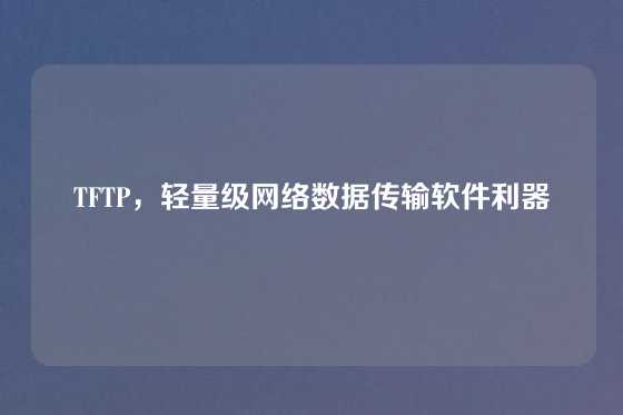 TFTP，轻量级网络数据传输软件利器