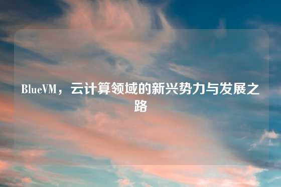 BlueVM，云计算领域的新兴势力与发展之路