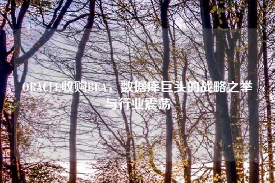 ORACLE收购BEA，数据库巨头的战略之举与行业震荡