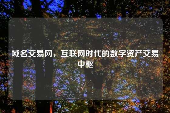 域名交易网，互联网时代的数字资产交易中枢