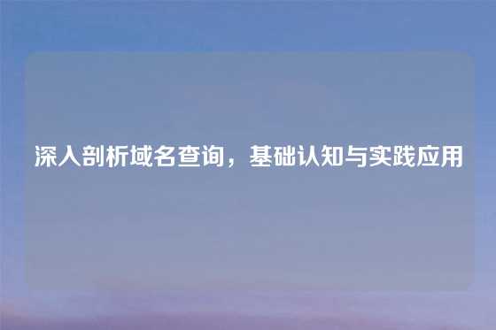 深入剖析域名查询，基础认知与实践应用