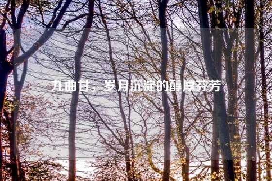 九曲甘,岁月沉淀的醇厚芬芳