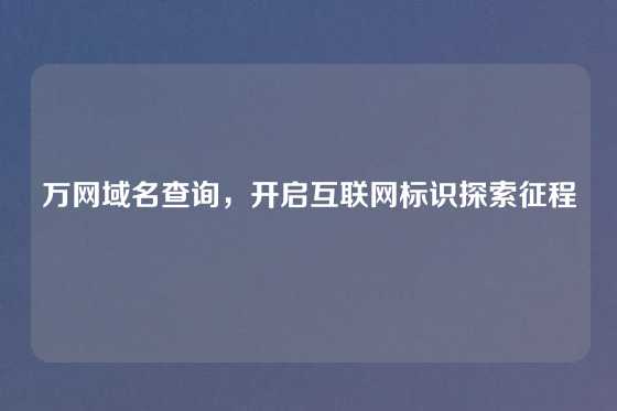 万网域名查询，开启互联网标识探索征程