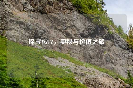 探寻YGTZ，奥秘与价值之旅